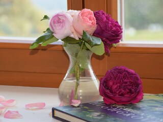 Casa per le vacanze Rinteln Registrazione all'aperto 13