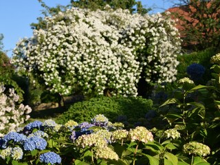 Casa per le vacanze Rinteln Registrazione all'aperto 14