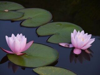 Casa per le vacanze Rinteln Registrazione all'aperto 16