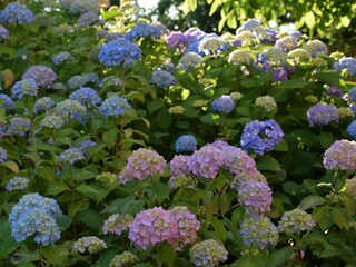 Casa per le vacanze Rinteln Registrazione all'aperto 18