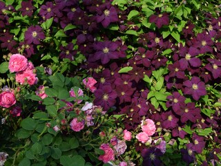 Casa per le vacanze Rinteln Registrazione all'aperto 19