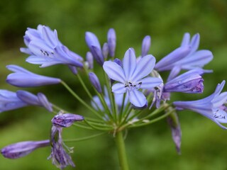 Casa per le vacanze Rinteln Registrazione all'aperto 11