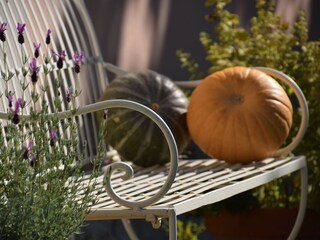 Casa per le vacanze Rinteln Registrazione all'aperto 21