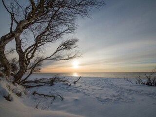 Appartement de vacances Prerow Environnement 30
