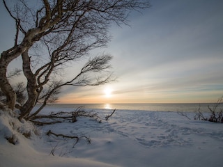 Vakantieappartement Prerow Omgeving 30