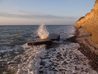 Appartamento per vacanze Prerow Ambiente 31