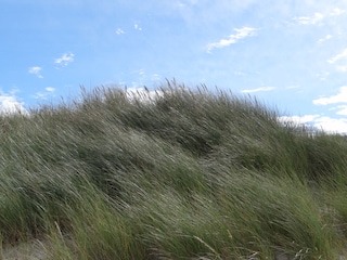 Appartamento per vacanze Prerow Ambiente 33