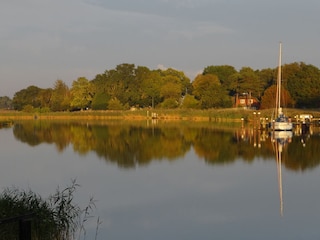 Vakantieappartement Prerow Omgeving 19