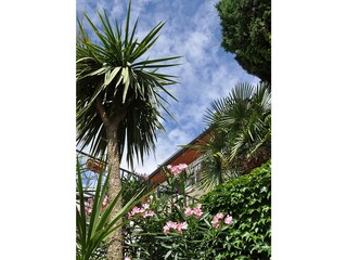 Vakantiehuis Toscolano-Maderno Omgeving 14