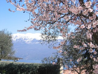 Casa per le vacanze Toscolano-Maderno Ambiente 17