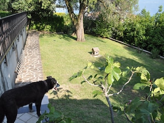 Holiday house Toscolano-Maderno Environment 21