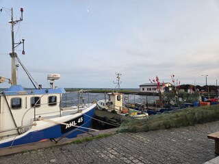 Hafen Kamminke 500 m