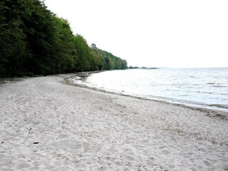 Strand Kamminke