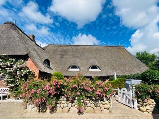 Ferienwohnung Wrixum Außenaufnahme 10