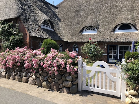 Holiday apartment "Tesje" im Friesenhof Oluf