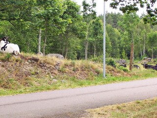 Maison de vacances Alsterbro  12