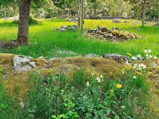 Ferienhaus Alsterbro Außenaufnahme 5