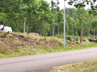 Ferienhaus Alsterbro  19