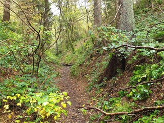 Vakantiehuis Ebeltoft  24