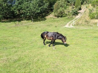 Maison de vacances Ebeltoft  30
