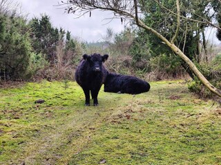 Casa per le vacanze Ebeltoft  32