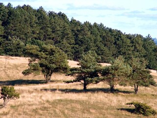 Casa per le vacanze Ebeltoft  33