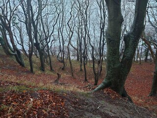 Vakantiehuis Ebeltoft  34