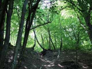 Casa per le vacanze Ebeltoft  35