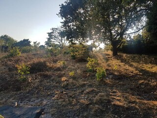 Vakantiehuis Ebeltoft  38