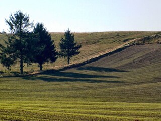 Casa de vacaciones Ebeltoft  29