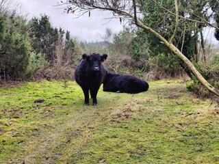 Casa per le vacanze Ebeltoft  26