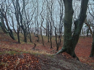 Casa per le vacanze Ebeltoft  22