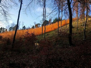 Ferienhaus Ebeltoft  3