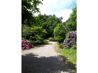 Im nahe gelegenen Rhododendronpark Gristede