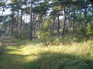 Casa de vacaciones Vaeggerløse  14