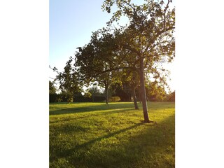 Casa per le vacanze Côtes d'Armor Registrazione all'aperto 6