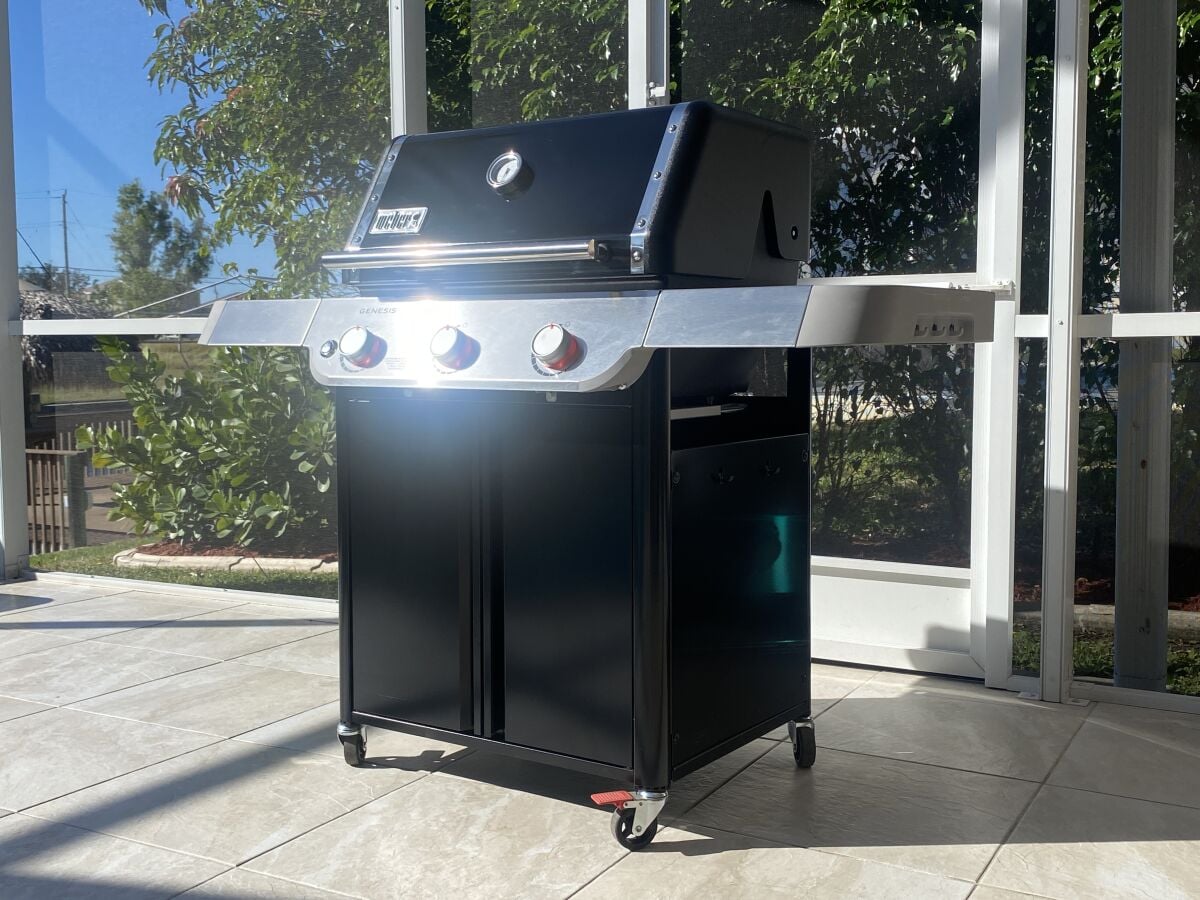 Weber Grill (Gas)