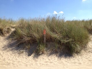 Casa per le vacanze Julianadorp Ambiente 17