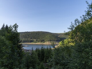 Blick auf das Unterbecken Goldisthal