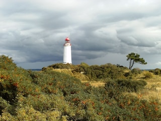 Leuchtturm auf Hiddensee