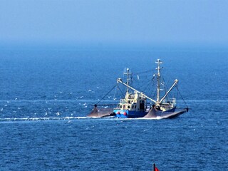 Krabbenkutter beim Fang