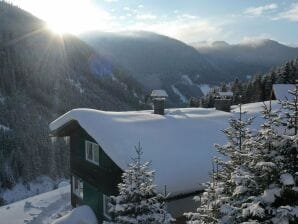 Chalet in Innerkrems / Kärnten mit Sauna - Innerkrems - image1