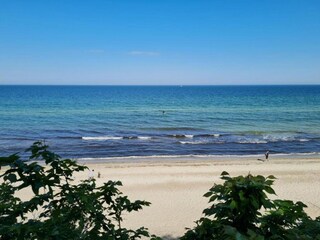 Casa per le vacanze Rerik Ambiente 36