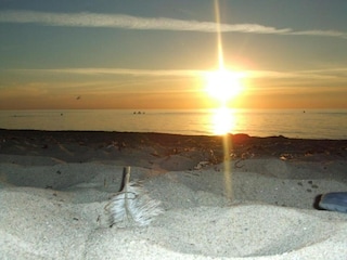 Ferienhaus Rerik Umgebung 35