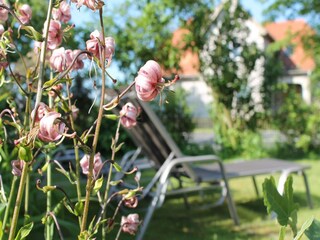 Appartement Wichmannsdorf  28