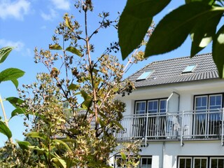 Appartement Graal-Müritz Buitenaudio-opname 4