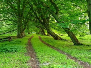 Apartment Graal-Müritz Umgebung 40