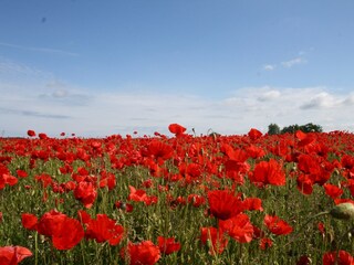 Appartement Satow Enregistrement extérieur 5