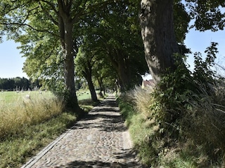 Apartment Satow Umgebung 21