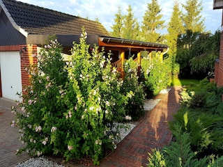 Appartement Satow Enregistrement extérieur 8